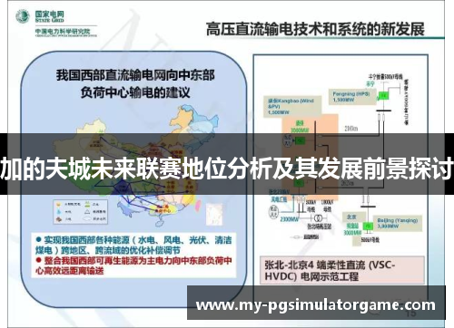 加的夫城未来联赛地位分析及其发展前景探讨